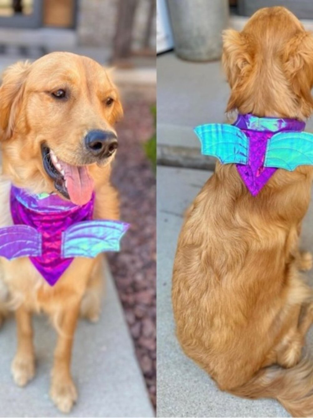 Hyde & EEK! Boutique | Purple Dragon Dog Collar Slide Bandana | Size One Size